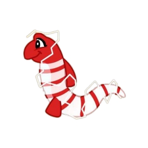 Candycane Electric Eel